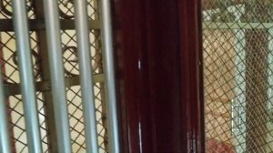 Старинный распашной лифт в Стокгольме