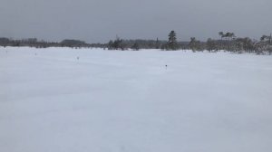 РЫБАЛКА В ПУРГУ ЗАКОНЧИЛАСЬ РАНЬШЕ ЧЕМ ПЛАНИРОВАЛИ! НО РЫБУ ПОЙМАЛИ).