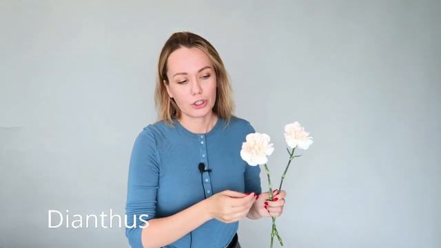 Букет в каркасе из камыша [ЧАСТЬ 2] флористика для начинающих смотреть онлайн