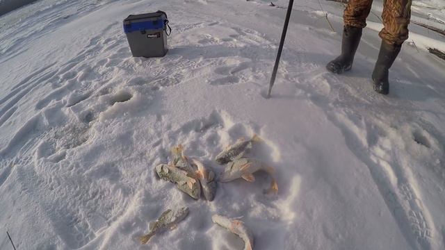 РЫБА ПРЁТ ОДНА ЗА ОДНОЙ! ПЕРВЫЙ ЛЁД НА ОБИ! смотреть онлайн