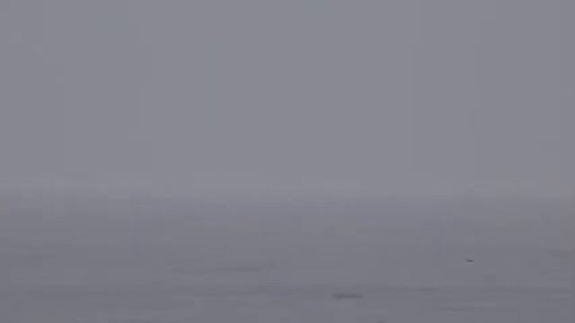 ОСТАВАЙСЯ ЛЕГКИМ. Медитация с Юлией Лагун смотреть онлайн