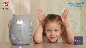 Обзор ультразвукового увлажнителя воздуха Royal Clima серии Murrrzio