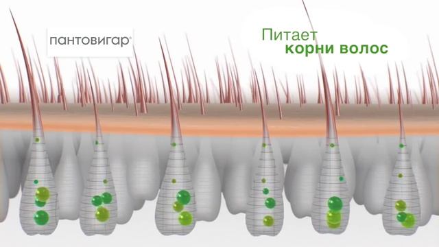 Пантовигар против выпадения волос смотреть онлайн