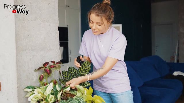 Хотите Укрепить Растения В Доме Кормите Этим Осенью И Зимой! Воздействие Витамин На Домашние Цветы! смотреть онлайн