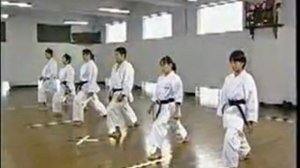 Karate-Do Shotokan - Keri Waza - Técnicas de Pierna