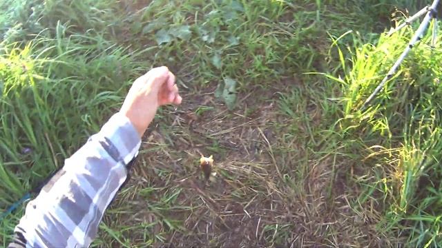 РЫБАЛКА НА КАРАСЯ В ЯМКАХ .Жор Карася в Июле. Рыбалка В Башкирии! смотреть онлайн