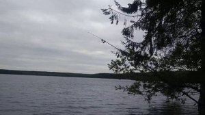 Зеркальное озеро ловим рыбу