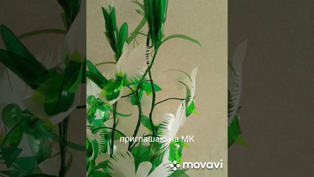 Цветы из пластиковых бутылок 🥀#моиработы#ростовыецветы