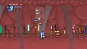Castle Crashers Как открыть дверь с замком и все мои оружия и животные