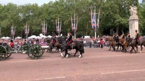 King’s Troop, Royal Horse Artillery (Absolutely stunning)