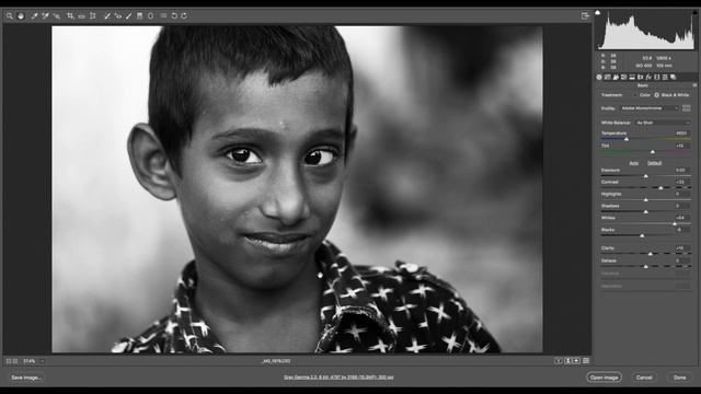 Black and White Processing - Portrait - Using Adobe Camera Raw смотреть онлайн