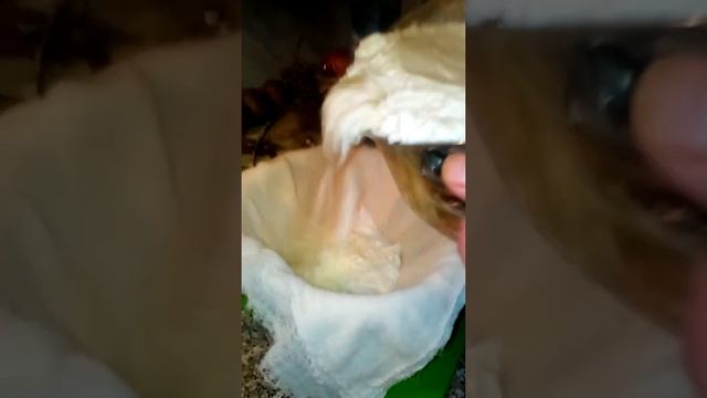 №2 Делаем творог дома1 смотреть онлайн