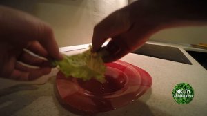 Жрец готовит салат по корейский (2 сезон, 2 серия) 