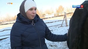 Хвост за хвост. Лошади (21.12.2022) (ГТРК Вятка)