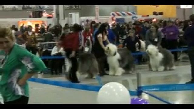 Евразия 2011