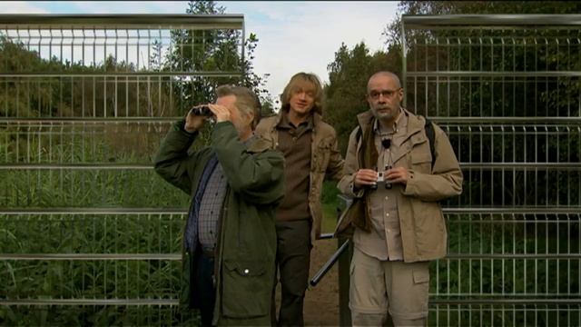 Koefnoen - De Baardmannetjes смотреть онлайн