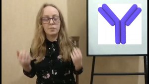 Специфический и неспецифический иммунитет