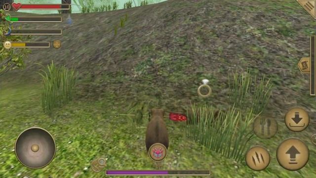 ИЩЕМ ЖЕНУ ДЛЯ МЫШОНКА | СИМУЛЯТОР МЫШИ ИГРА | Обзор и прохождение игры про мышку. Свадьба мышонка #