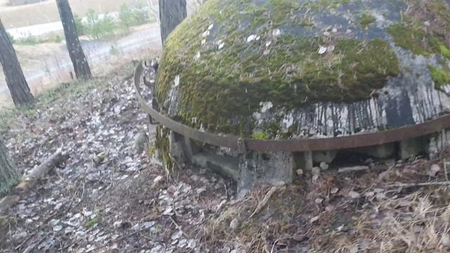 Шведская 