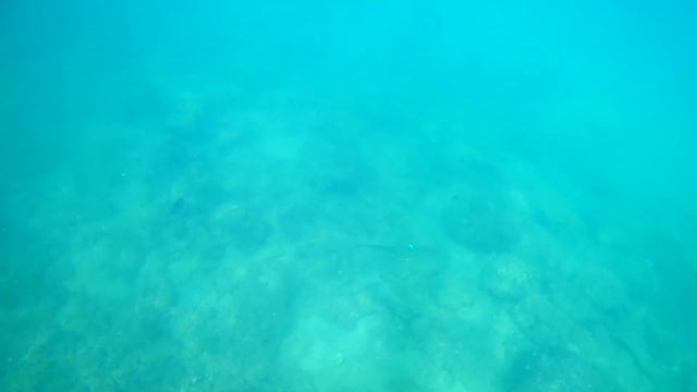Вьетнам Viet Nam - Хон Там Hòn Tằm - Под водой... under water