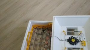 Отзыв об инкубаторе ТЕПЛУША ЛЮКС 72. Купил новый инкубатор КВОЧКА