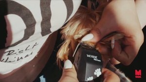 Как стричь маленькую собаку — детальная стрижка йорка