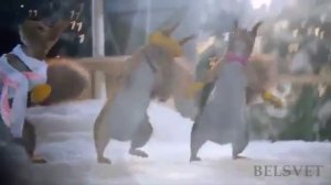 Танцующие белки. Новый год