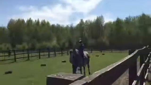 Пони Кони двор Полесск смотреть онлайн