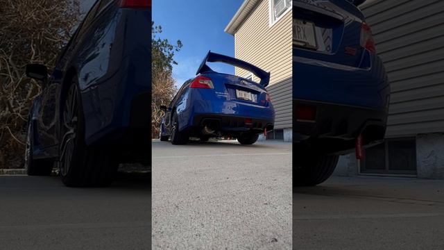 Cold Start!!! 2021 STi rumble Tomei Expreme Ti Catback Exhaust (stock)