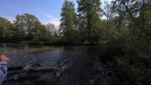 Голавль малой реки, разведка новых мест в лен. области.