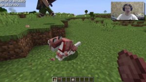 Теперь можно Красить Броню Волка в майнкрафте 1.21 - Обзор снапшота 24w09a