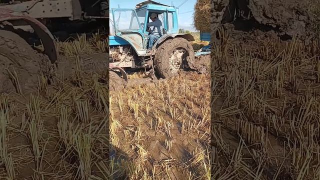 Трактор МТЗ 82 застряла в болоте#Таджикистан#??#Регар#Тойчи?