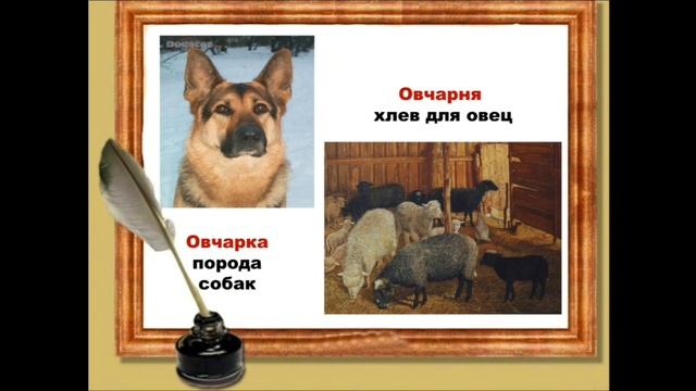 Паронимы русского языка. 8 класс. смотреть онлайн