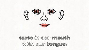 Five Senses Song - Rockin' English Lessons