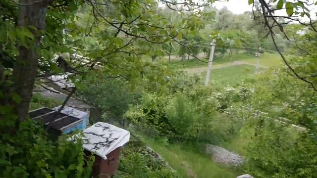 НАША ХАТКА НАД ДНЕПРОМ . АКАЦИИ ЦВЕТУТ . смотреть онлайн