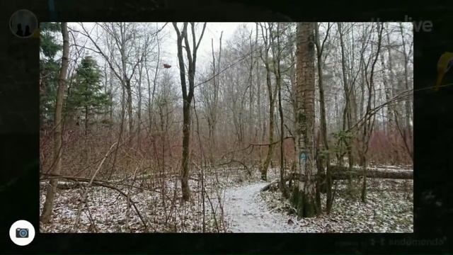 От Мытищ до Пирогово. Пешком. День 4 смотреть онлайн