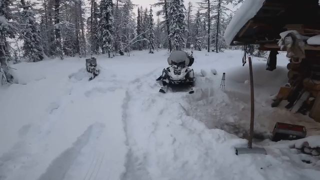 Полный рюкзак соболей. ОДНИ ПОДАРОЧКИ НА НОВЫЙ ГОД!!! #охота #зима #север. смотреть онлайн