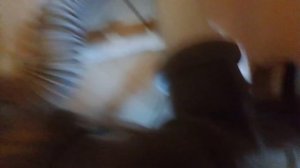 Подключение посудомоечной машины фирмы LERAN. часть 1.