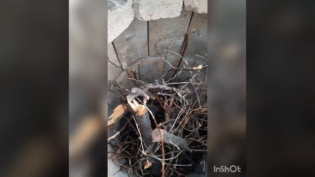 Тандыр своими руками смотреть онлайн