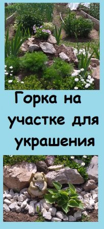 Моя КАМЕНИСТАЯ ГОРКА служит для украшения плоского пространства на участке, создавая объем
 #дача