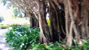 TROU AUX BICHES BEACHCOMBER GOLF RESORT & SPA 5*, MAURITIUS. 4K VIRTUAL TOUR.