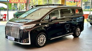 GWM WEY Gaoshan 2024 VIP EV. Интерьер и экстерьер.