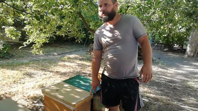 Рой на Ивана Купала смотреть онлайн