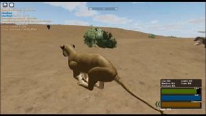 ROBLOX wild savanna female lion gameplay part 1