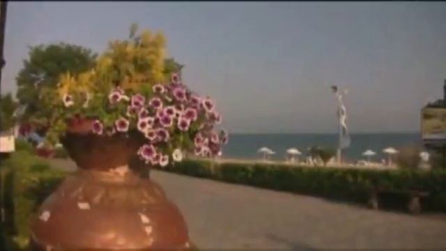 Елените Болгария. Аренда аппартаментов недорого.