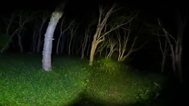 【閲覧注意】世界最大の遭難事故現場で映った恐ろしい形相の顔【心霊スポットの旅・東北編Day4】