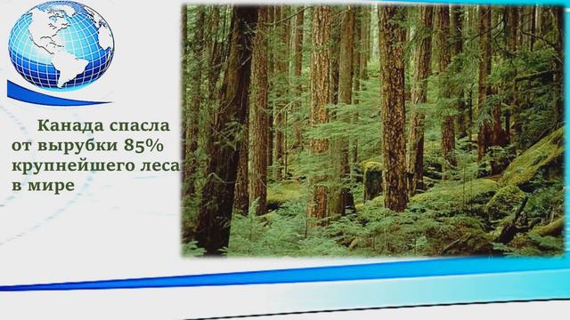 Немного позитивных новостей - информационная минутка