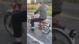 тащим карпача на зид 250 лис