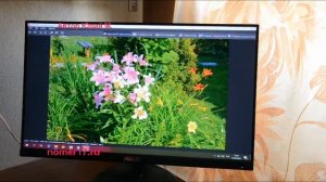 Игровой монитор ASUS VP249 QGR