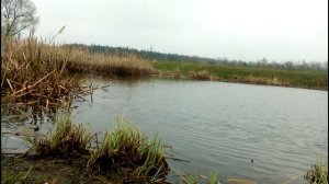 Супер Рыбалка на Попла Поппер